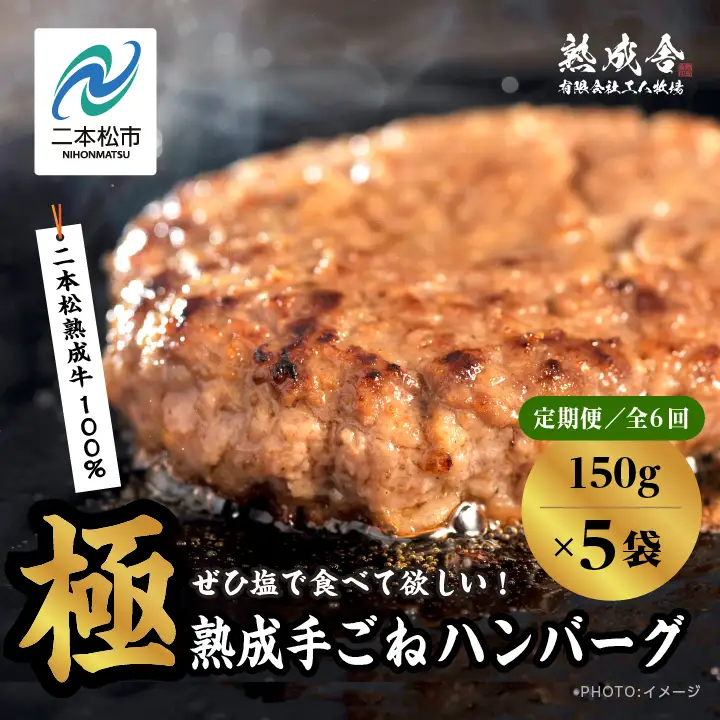 定期便6回 熟成牛 ハンバーグ 4.5kg（150g×5袋） ハンバーグ 国産 牛肉