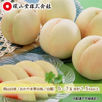 白桃 おかやま夢白桃 白麗 岡山県産 白桃【5～7玉 計1.5kg以上】【先行