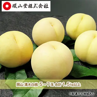 白桃 清水白桃 岡山県産 白桃【5～7玉 計1.5kg以上】【先行予約】