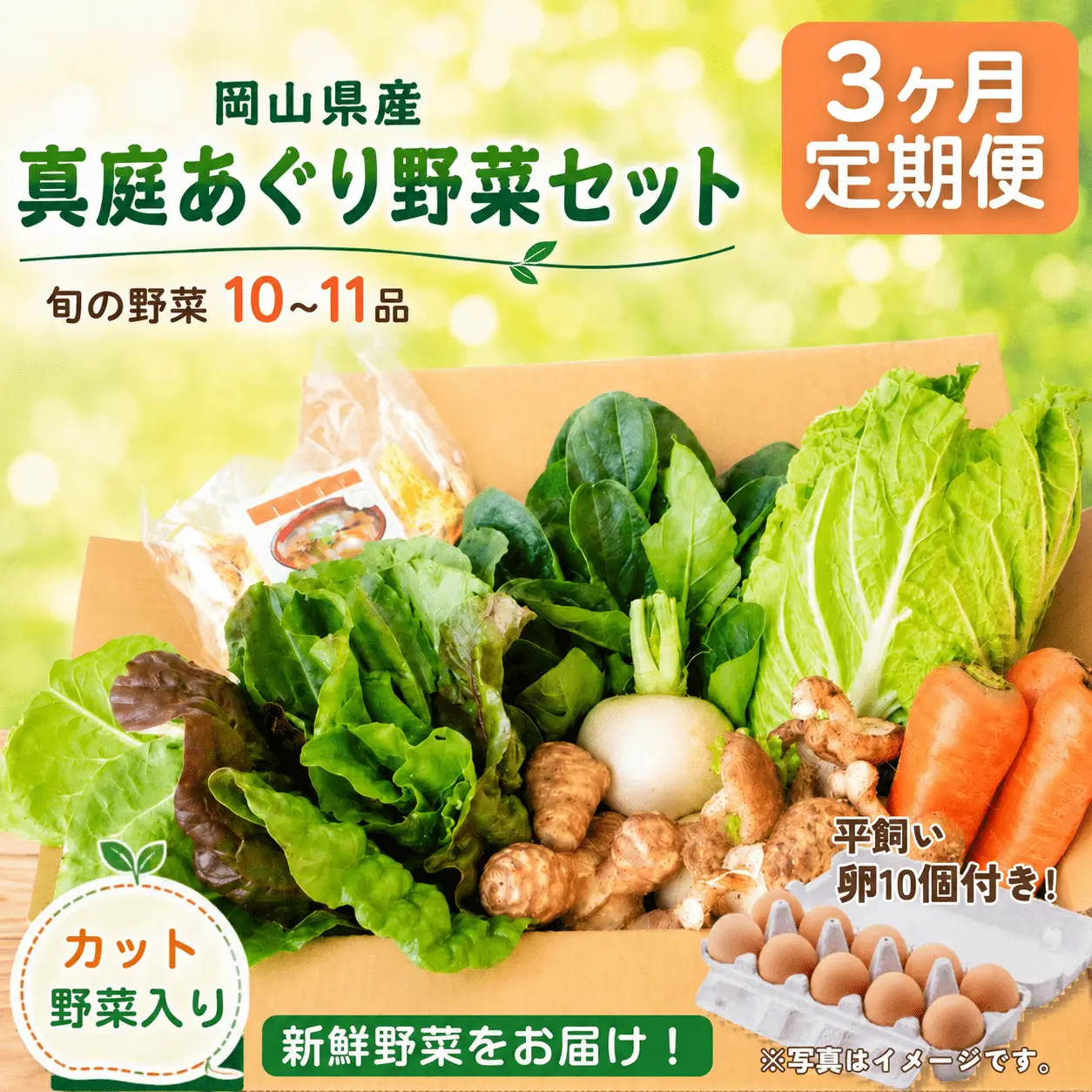 【3カ月定期便】真庭あぐり野菜セット カット野菜が1品入る 10～11品 平飼い卵付き / 産地直送 農家 お試し 岡山県 新鮮 あぐりガーデン 国産 【配送不可地域：北海道／沖縄県／離島】 【jujy-tkb062】