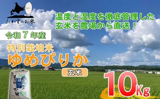 【令和7年産】 ゆめぴりか (玄米) 10kg 北海道 鷹栖町 たかすのお米 米 コメ こめ ご飯