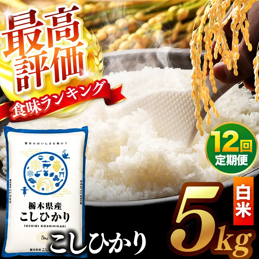 【先行予約】【定期便12回】 ＼白米／ 真岡市産コシヒカリ 5kg