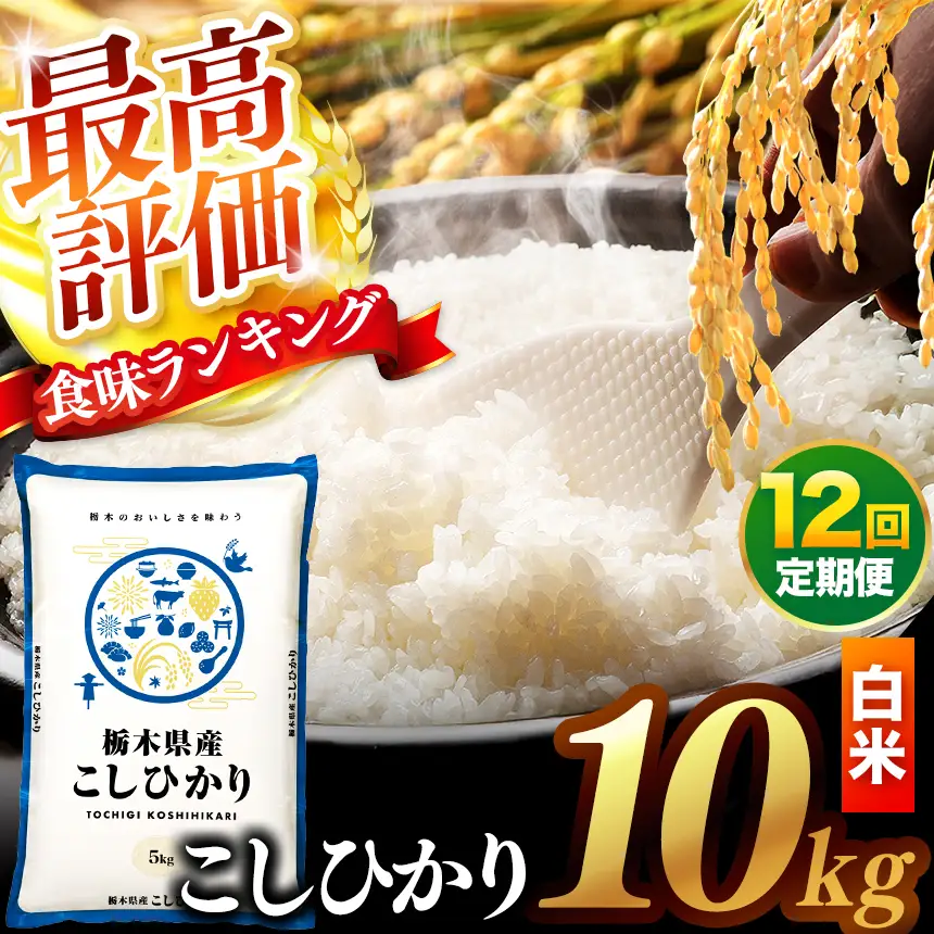 【先行予約】【定期便12回】 ＼白米／ 真岡市産コシヒカリ 10kg