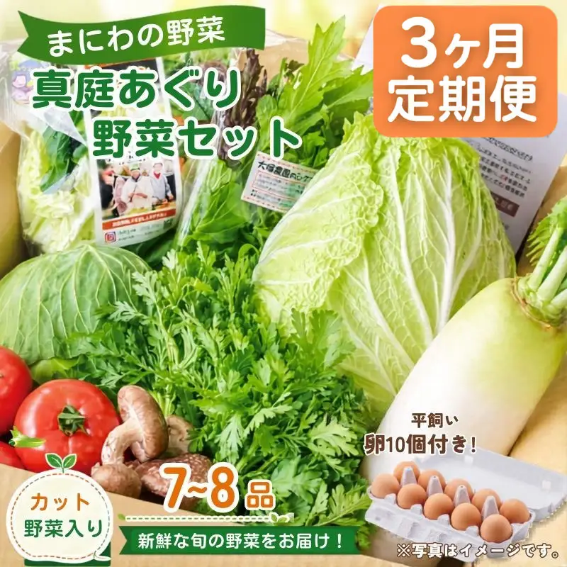 【3カ月定期便】真庭あぐり野菜セット カット野菜が1品入る 7～8品 平飼い卵付き / 産地直送 農家 お試し 岡山県 新鮮 あぐりガーデン 国産 【配送不可地域：北海道／沖縄県／離島】 【jujy-tkb059】