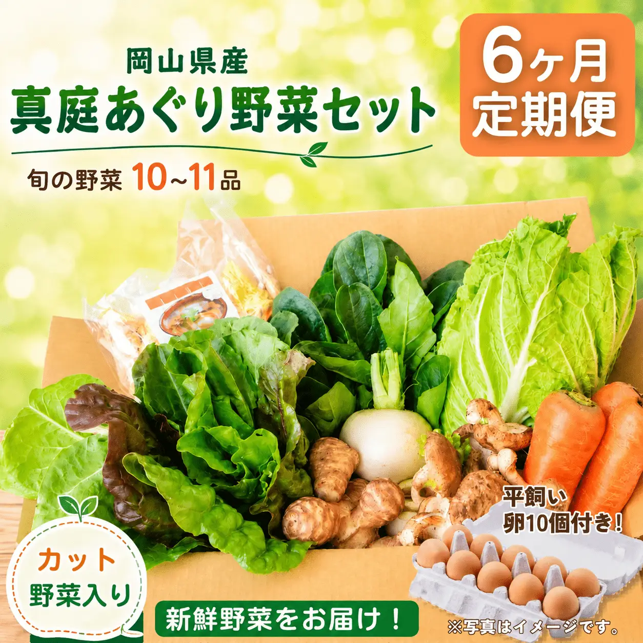 【6カ月定期便】真庭あぐり野菜セット カット野菜が1品入る 10～11品 平飼い卵付き / 産地直送 農家 お試し 岡山県 新鮮 あぐりガーデン 国産 【配送不可地域：北海道／沖縄県／離島】 【jujy-tkb063】