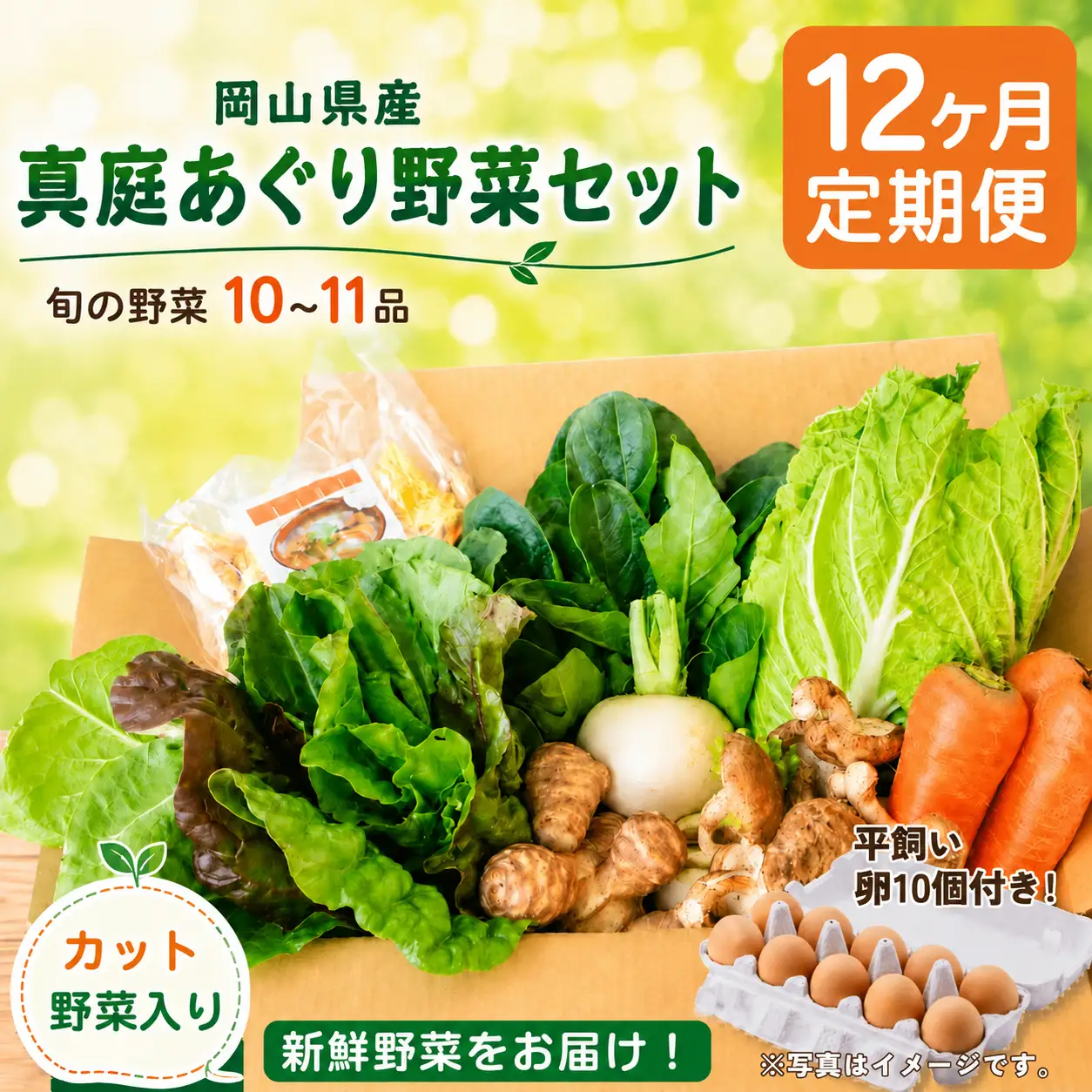 【12カ月定期便】真庭あぐり野菜セット カット野菜が1品入る 10～11品 平飼い卵付き / 産地直送 農家 お試し 岡山県 新鮮 あぐりガーデン 国産 【配送不可地域：北海道／沖縄県／離島】 【jujy-tkb064】