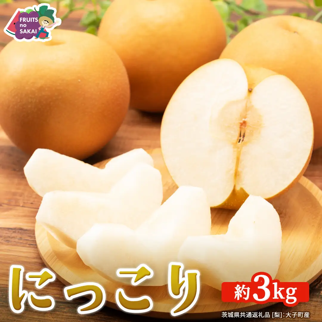 にっこり 梨 約3kg 【2026年10月より発送開始】（茨城県共通返礼品 [梨]：大子町産）