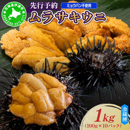 先行予約＞ 北海道産 ムラサキウニ（正規品）1kg【ogm-039】生うに