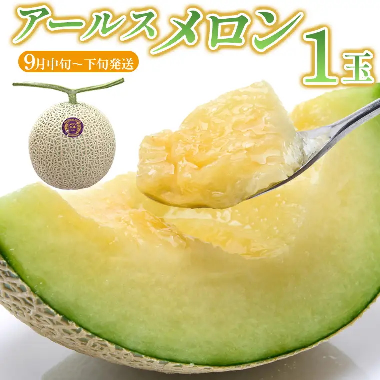 アールスメロン 1玉【9月中旬～下旬頃発送】　メロン工房 川上