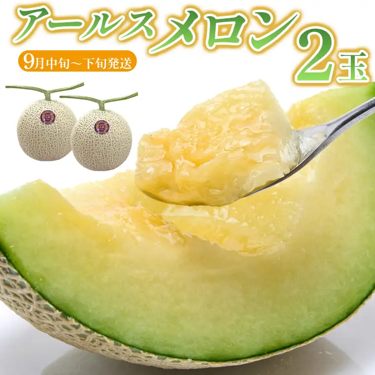 アールスメロン 2玉【9月中旬～下旬頃発送】　メロン工房 川上