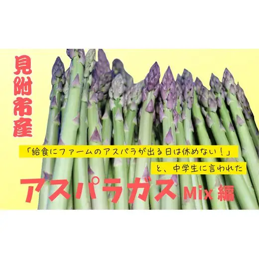「給食にファームのアスパラ出る日は休めない！」と中学生に言われたアスパラガス　Mix編 1kg
