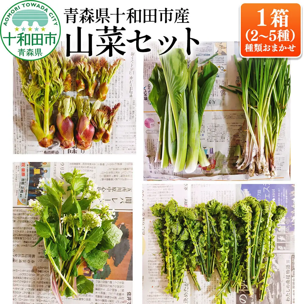 【先行受付】青森県十和田市産 山菜セット（2～5種類 種類おまかせ）1箱