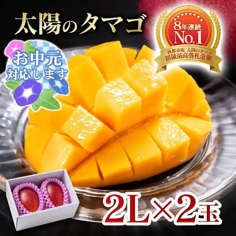 【お中元ギフト】最高級ブランド『太陽のタマゴ』2L×2個【糖度15度以上】宮崎県西都市産完熟マンゴー＜68-1a＞宮崎マンゴー 果物 フルーツ 甘い