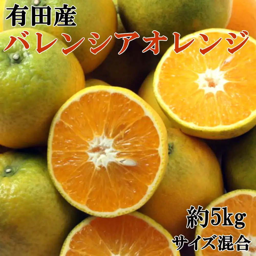 ［国産］有田産バレンシアオレンジ 約5kg（サイズ混合 秀・優品規格）★2027年7月中旬ごろより発送