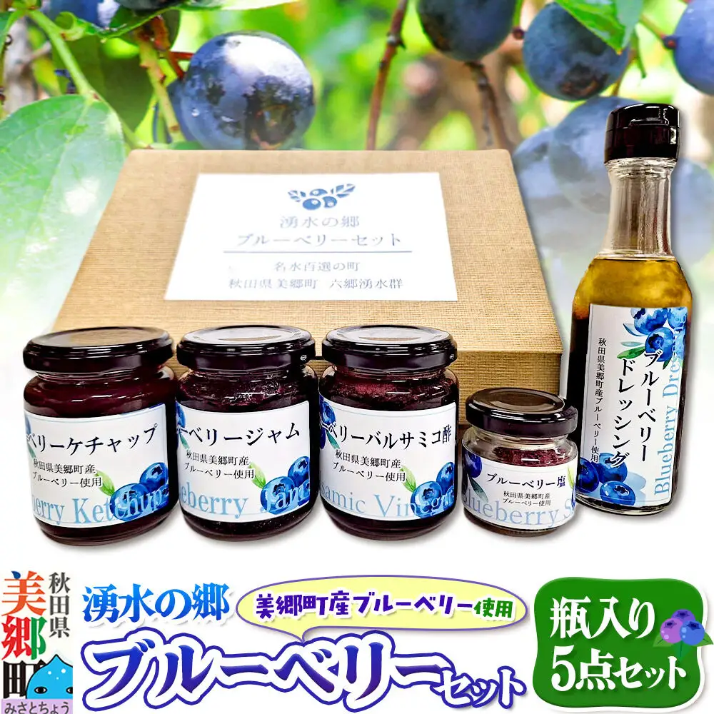 湧水の郷ブルーベリーセット 5点 （バルサミコ酢、ドレッシング、ジャム、ケチャップ、ブルーベリー塩）