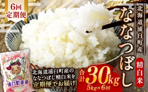 【 6回定期便 】〈 令和8年産 〉 浦臼産ななつぼし 精白米 5kg お米 米 こめ コメ 白米 白飯 飯 ご飯 おにぎり ブランド米 ブランド 国産 北海道産 和食 定期 定期配送 【 2026年10月下旬より順次発送 】