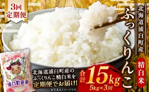 【 3回定期便 】〈 令和8年産 〉 浦臼産 ふっくりんこ 精白米 5kg お米 米 こめ コメ 白米 白飯 飯 ご飯 おにぎり ブランド米 ブランド 国産 北海道産 和食 魚料理 定期 定期配送 【 2026年11月上旬より順次発送 】