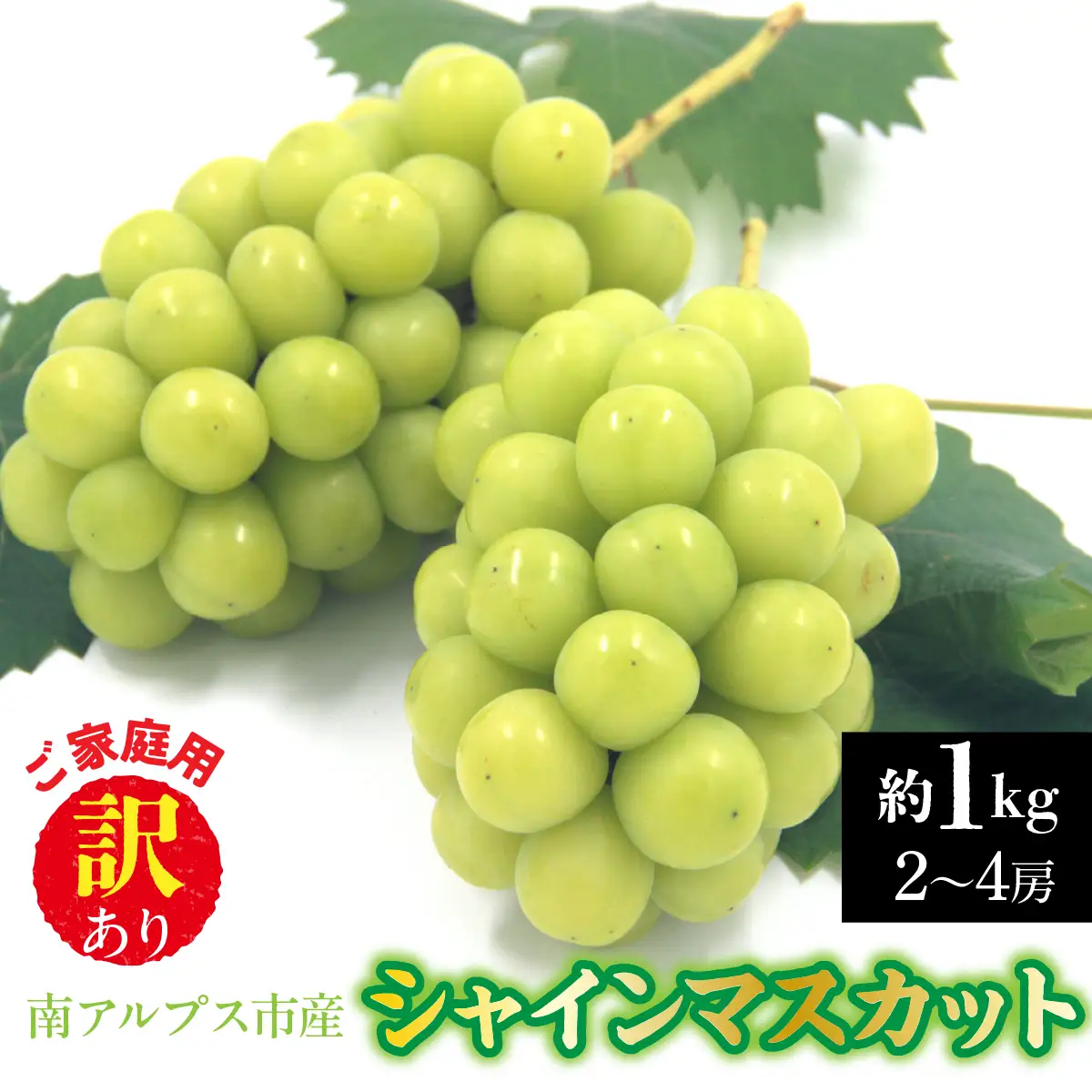 【2026年発送先行予約】南アルプス市産　【訳あり】シャインマスカット　約1.0kg（２～4房） ALPDD028