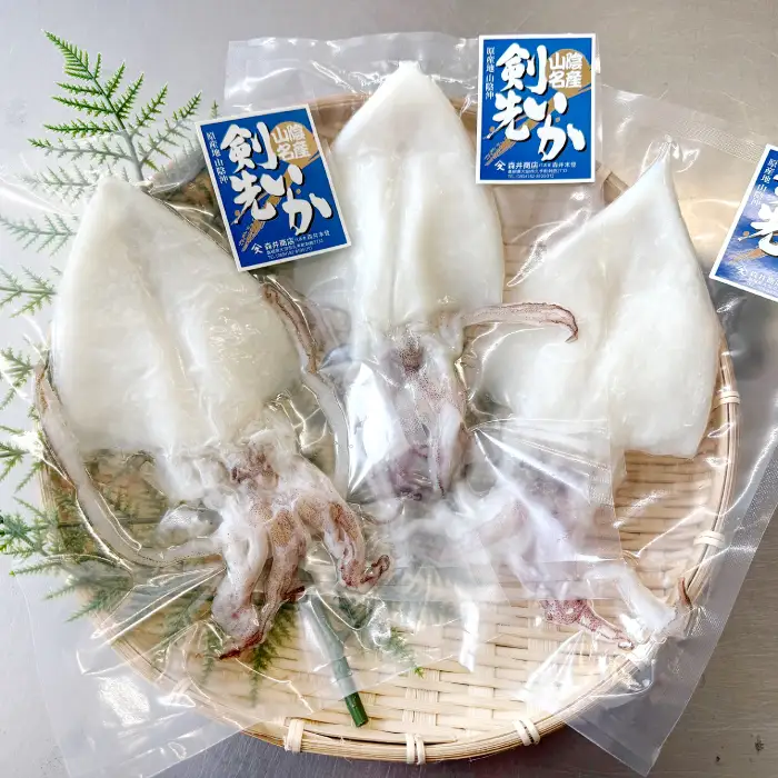 島根県産白いか一夜干し（3枚）セット【白いか一夜干し 一夜干し 干物 白いか いか 真空パック ごはん おかず おつまみ 酒の肴 つまみ 加工品 冷凍 贈答 ギフト】
