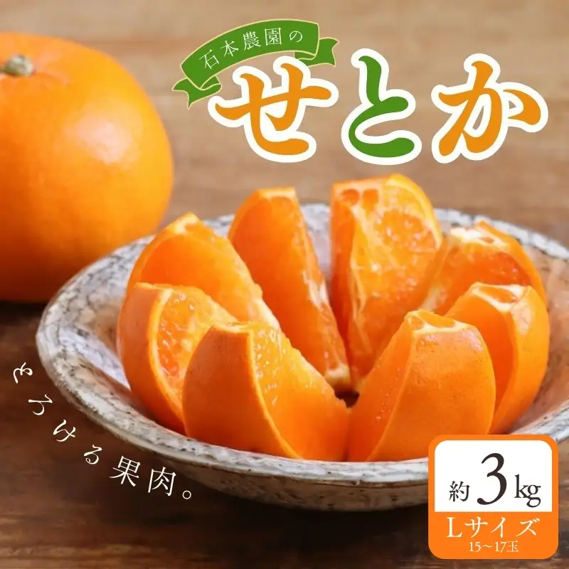 せとか 石本農園のハウスせとか 約3kg【mis022】