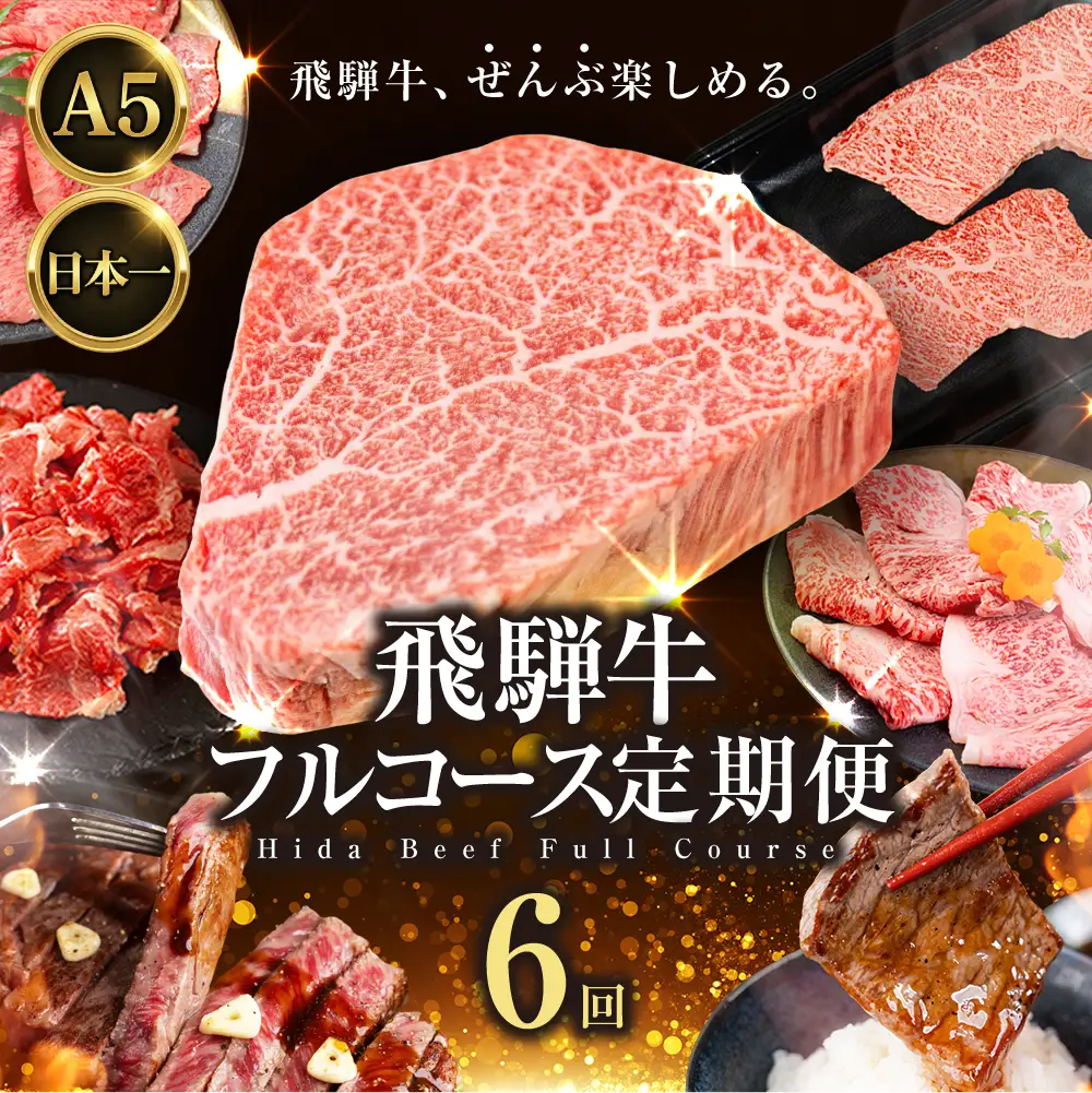 飛騨牛 フルコース定期便 定期便 6ヶ月｜定期便
