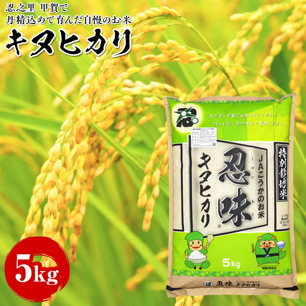 キヌヒカリ 5kg 甲賀で丹精込めて育んだ自慢のお米 (173184-40038741)