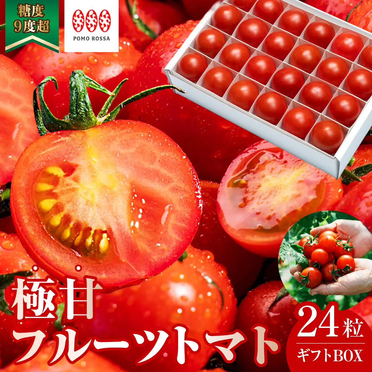 【先行予約】フルーツトマト 「ポモ・ロッサ」 24粒