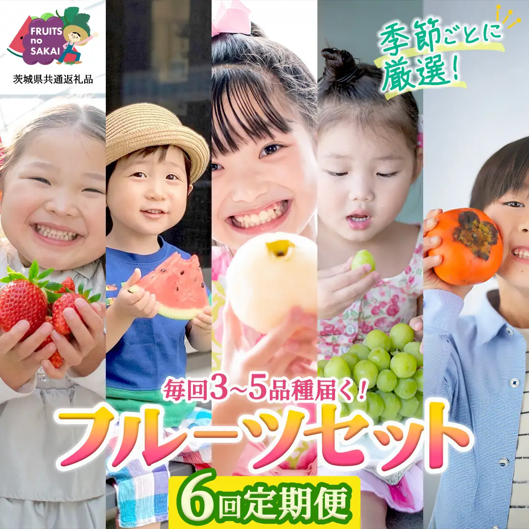 【定期便】フルーツセット（6回定期）（茨城県共通返礼品）