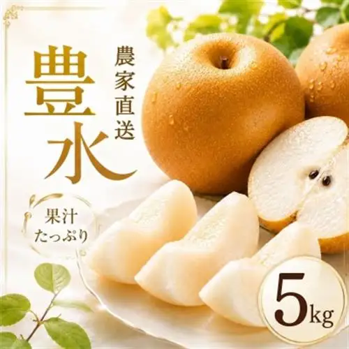 豊水 梨 5kg 8～12玉 【2026年収穫分】 梨 なし かすみがうら市【1732409】