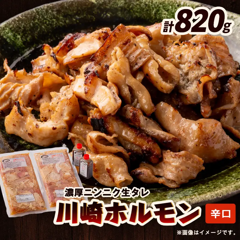 川崎ホルモン 計820g(2～3人前410g×2袋)(濃厚ニンニク生タレ『辛口』付き)【配送不可地域：離島】【1737182】