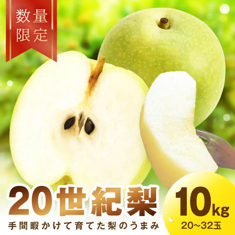 【先行予約／数量限定30】廿世紀梨 10kg（2026年9月上旬～発送） 20,720円
