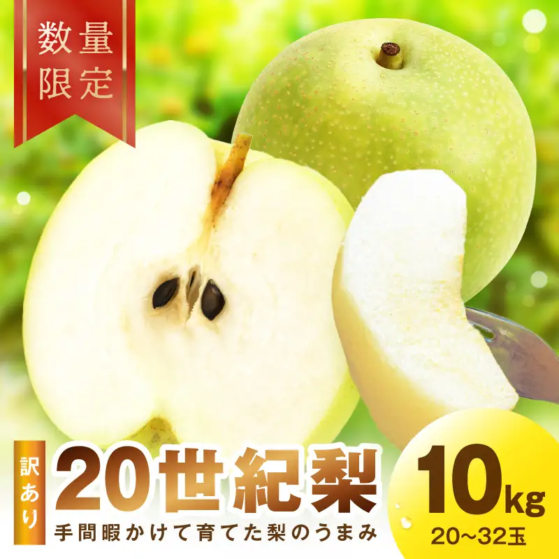 【先行予約／数量限定30】訳あり 廿世紀梨 10kg（2026年9月上旬～発送）
