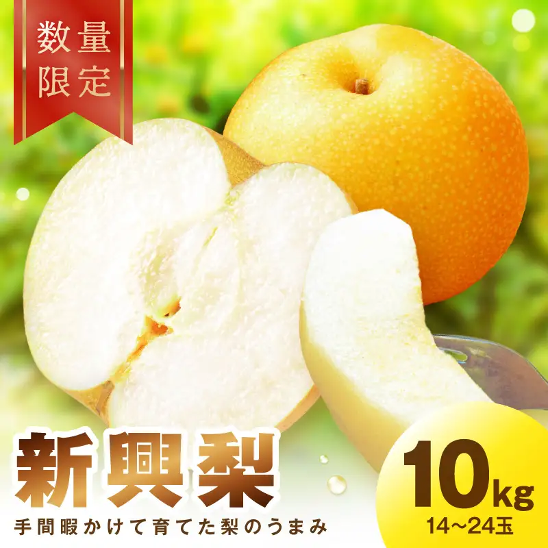 【先行予約／数量限定30】新興梨 10kg（2026年10月中旬～発送）