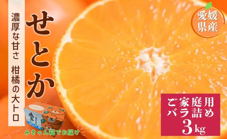 【2027年先行予約】せとか 3kg バラ詰め Mサイズ以上 【2027年2月上旬より順次発送予定】 みきゃん箱 愛媛 数量限定 愛媛県産 人気 柑橘 フルーツ 国産 おすすめ 伊予市｜B558