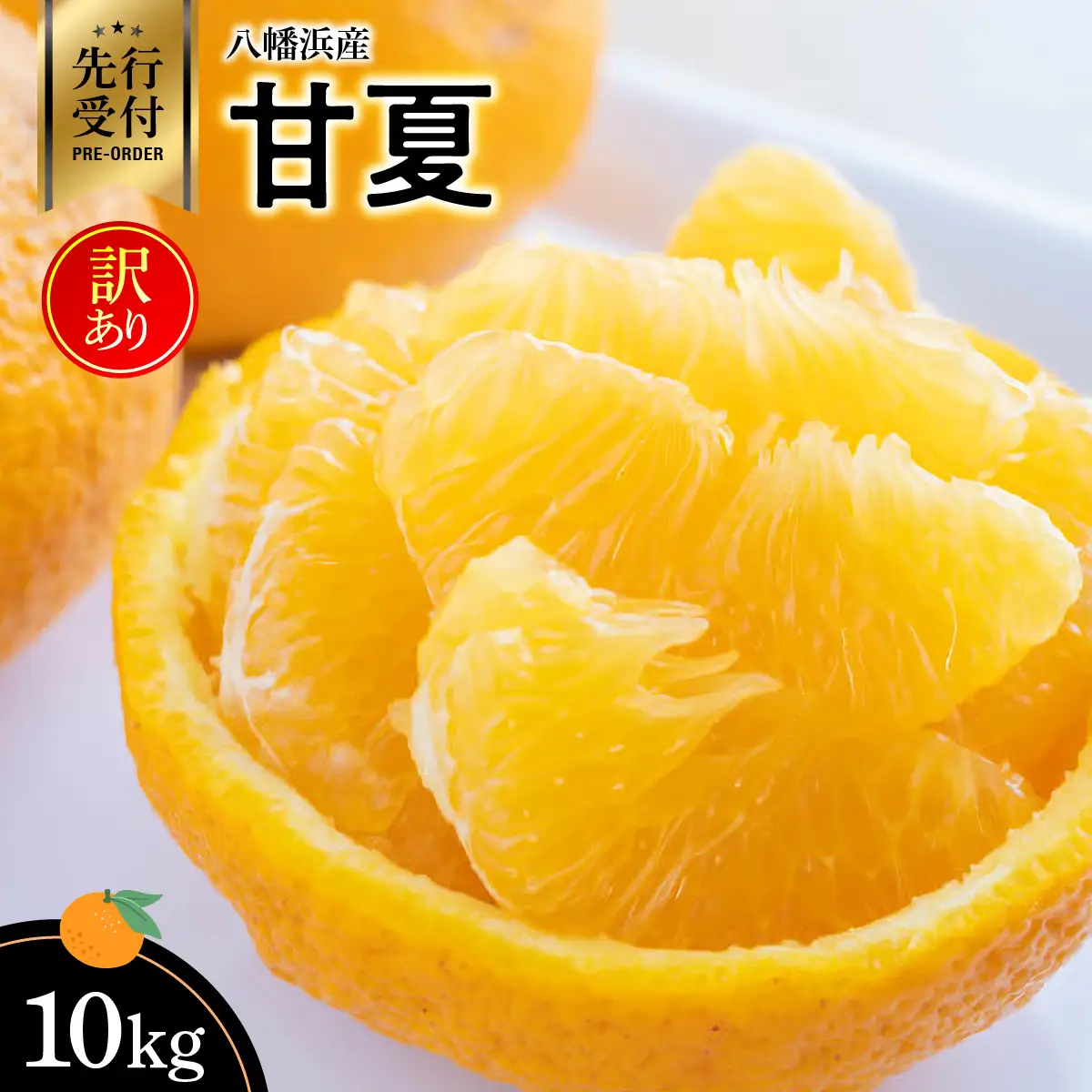 【先行受付】八幡浜産・甘夏10kg【訳あり】【C56-46】【配送不可地域：離島】【1479308】 YWTAS036