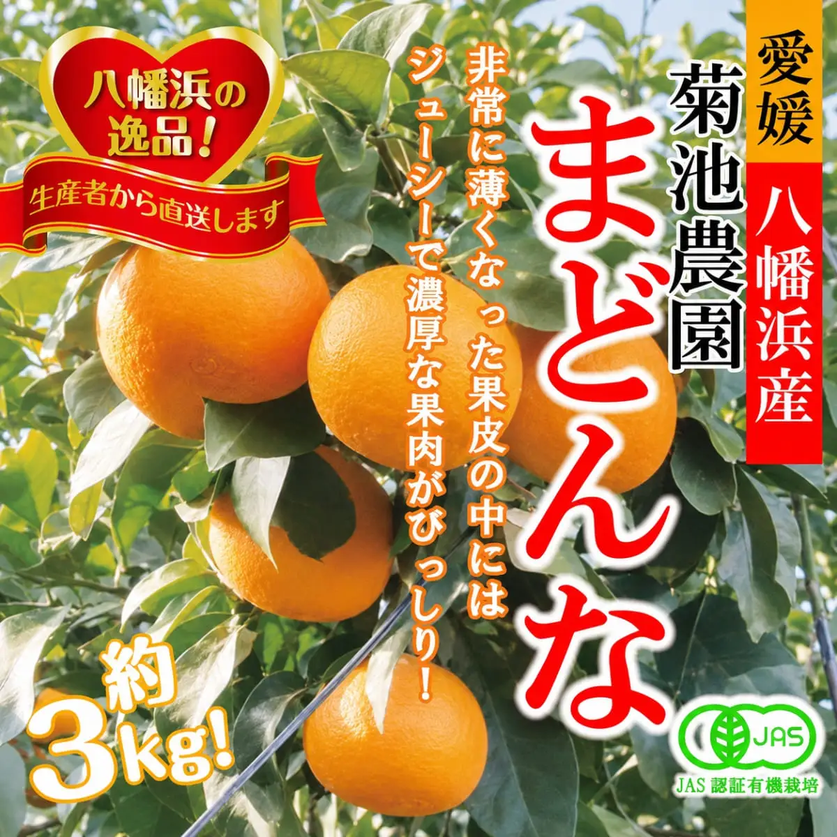 【先行受付】【JAS認証有機栽培】こんな柑橘初めてプルプル新食感「まどんな」約3kg【D39-25】【1044609】 YWTF012