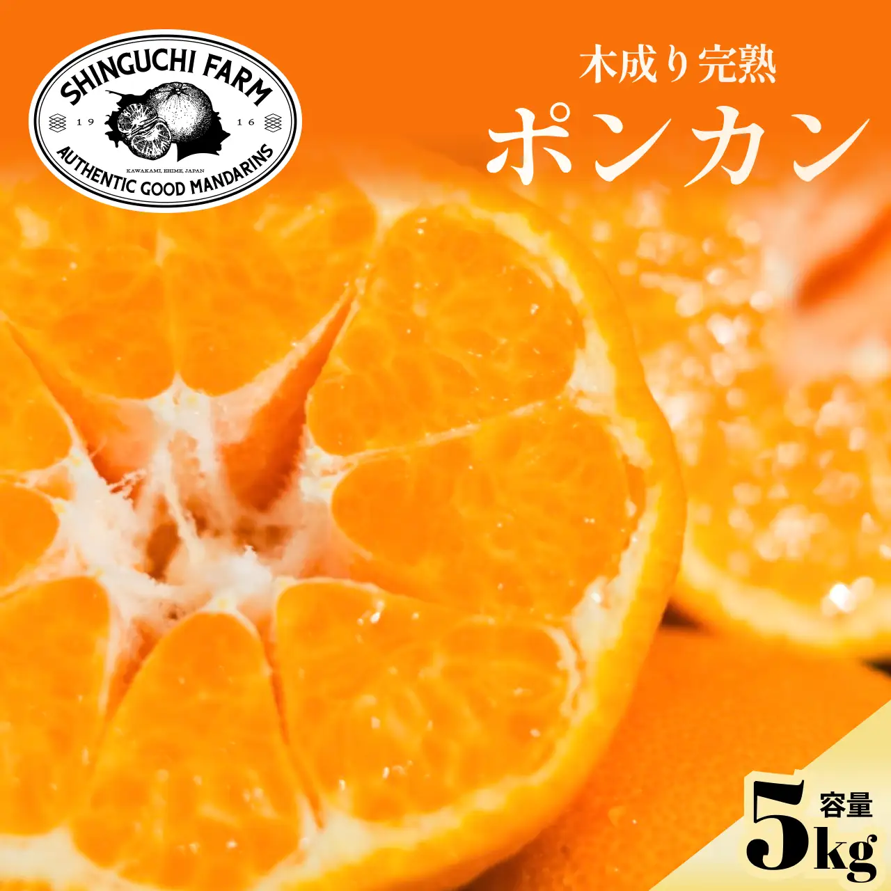 【先行受付】【産地直送】五代目が厳選したポンカン 5kg 愛媛県産【D70-24】【1470666】 YWTK024