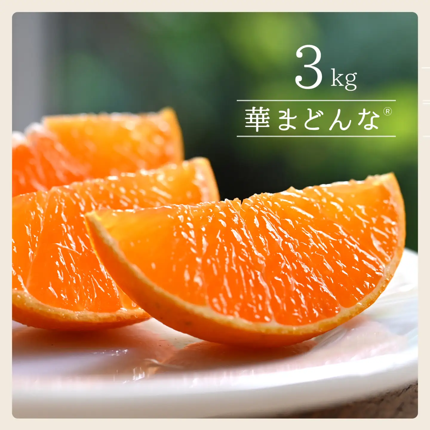 【先行受付】コウ果樹園「華まどんな」3kg【D33-22】【1051536】 YWTG008