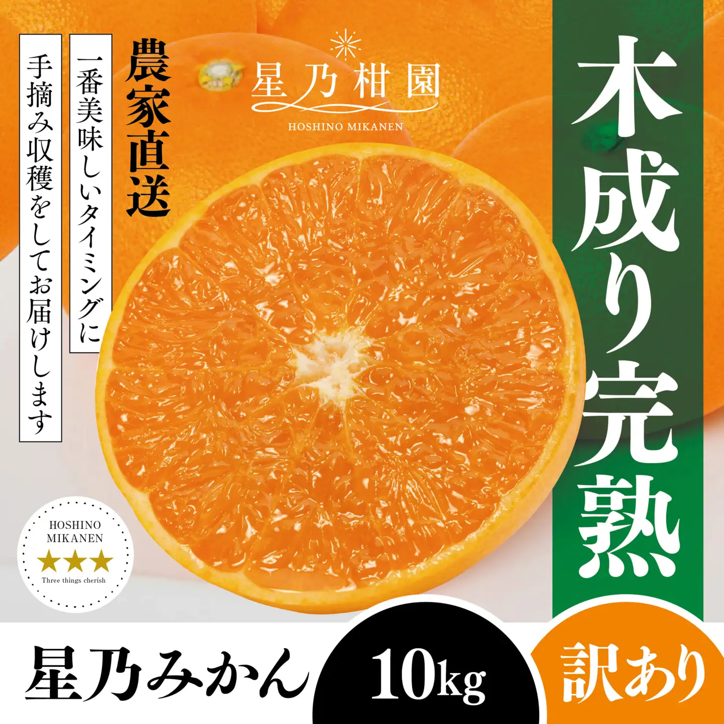 【先行受付】星乃みかん園の星乃みかん(10kg)【訳あり】【C45-64】【1339361】 YWTAZ027