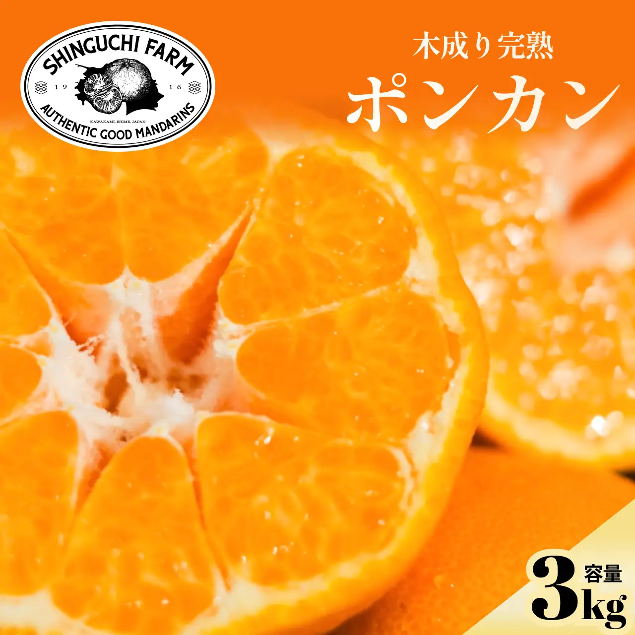 【先行受付】【産地直送】五代目が厳選したポンカン 3kg 愛媛県産【C70-64】【1614988】 YWTK064