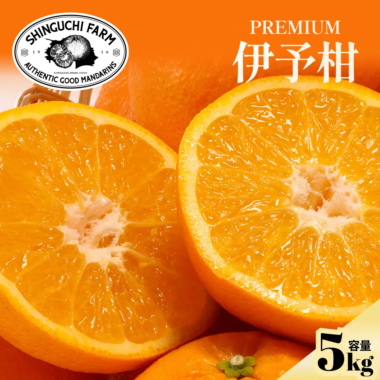 【先行受付】五代目が厳選した【伊予柑5kg】【愛媛県】【C70-95】【1671260】 YWTK094