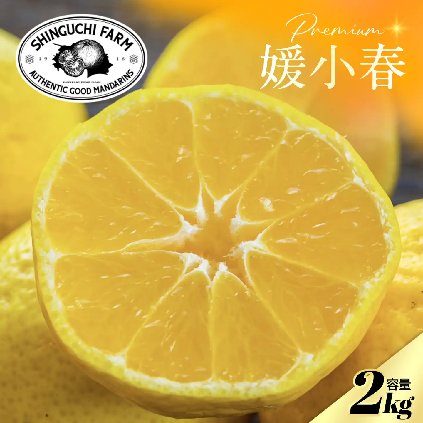 【先行受付】老舗農家が見極めたプレミアム【媛小春2kg】 愛媛県新品種【C70-99】【1671387】 YWTK098