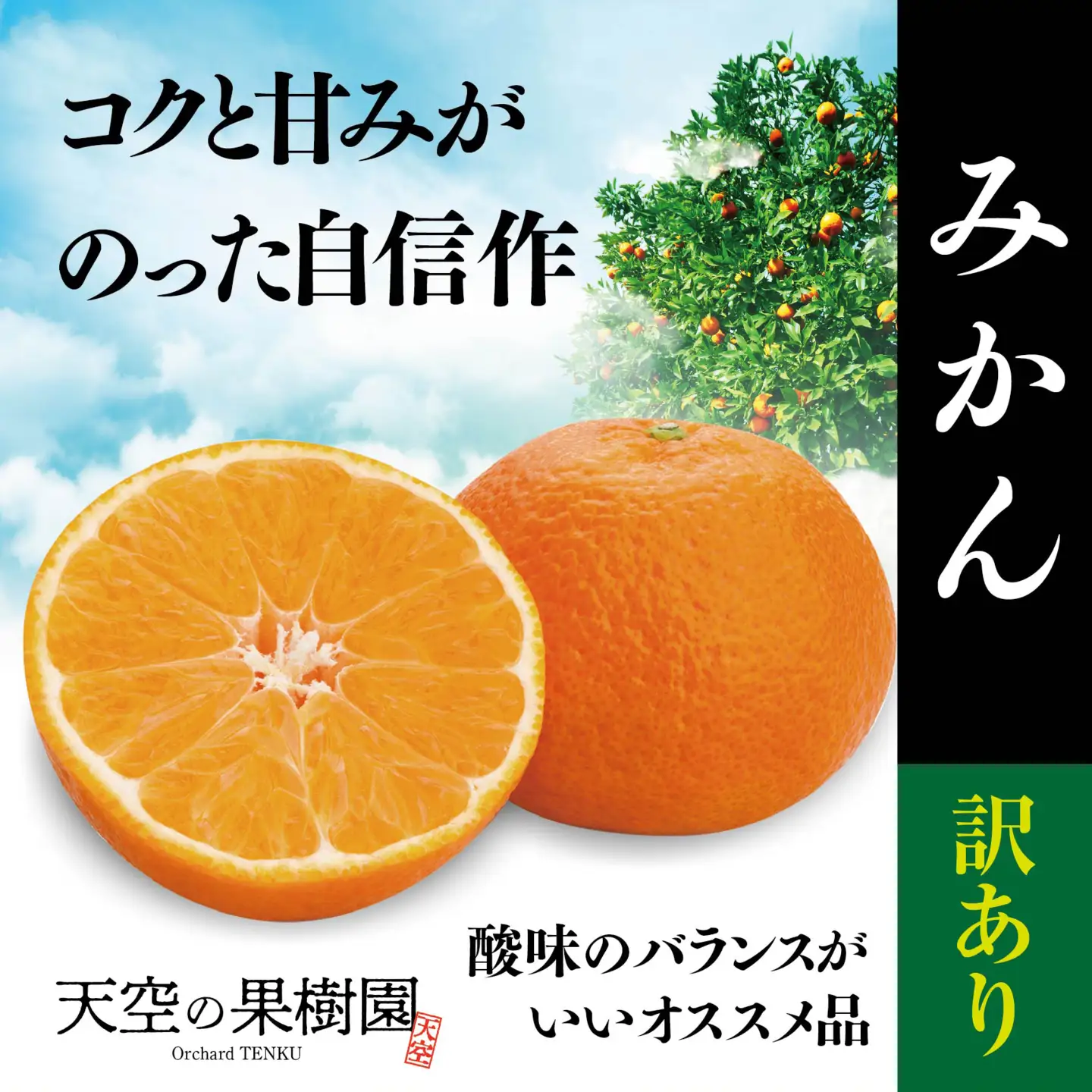 【先行受付】天空の果樹園から届く そらみかん (5kg)【訳あり】【A95-4】【1668469】 YWTAQ004