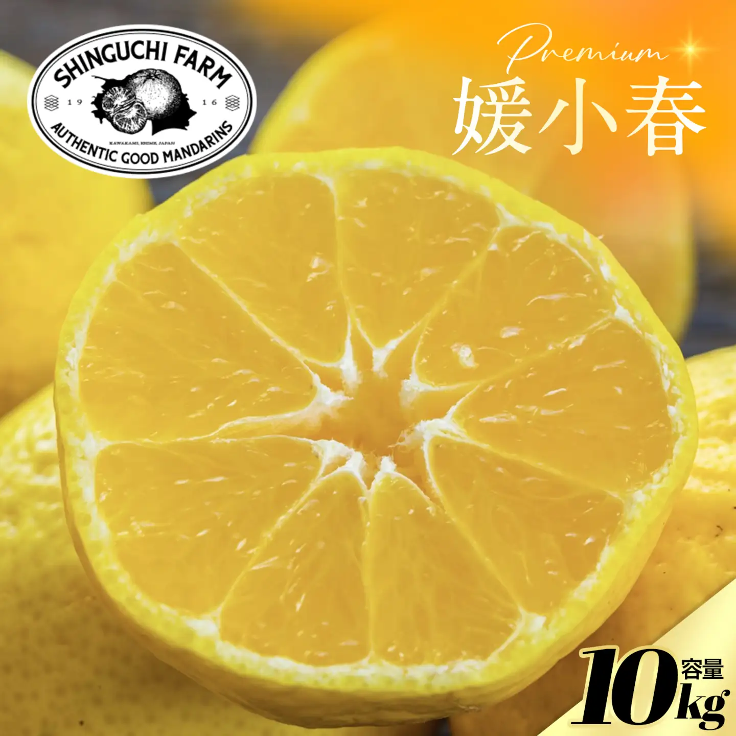 【先行受付】老舗農家が見極めたプレミアム【媛小春10kg】 愛媛県新品種【H70-119】【1683937】 YWTK118