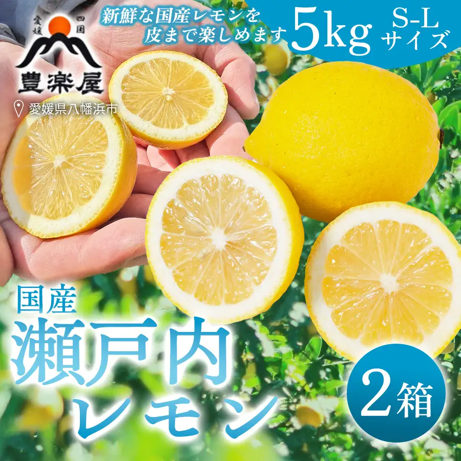 【先行受付】【防腐剤・ワックス不使用で安心】真穴産地直送のレモン　5kg×2箱(S~Lサイズ)【H98-10】 YWTBU010