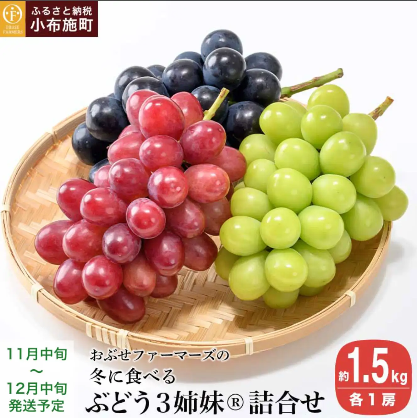 冬に食べるぶどうぶどう3姉妹® シャインマスカット ＆ ナガノパープル ＆ クイーンルージュ® 詰合せ 各1房 約1.5kg [おぶせファーマーズ] 数量限定 【2026年11月中旬～12月中旬発送】 [F-555]