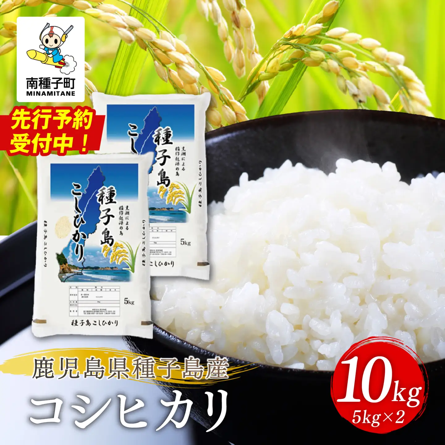 【先行予約】《令和8年産米 新米》 【8月上旬より順次発送予定】 種子島産コシヒカリ10kg（5kg×2）【新栄物産】