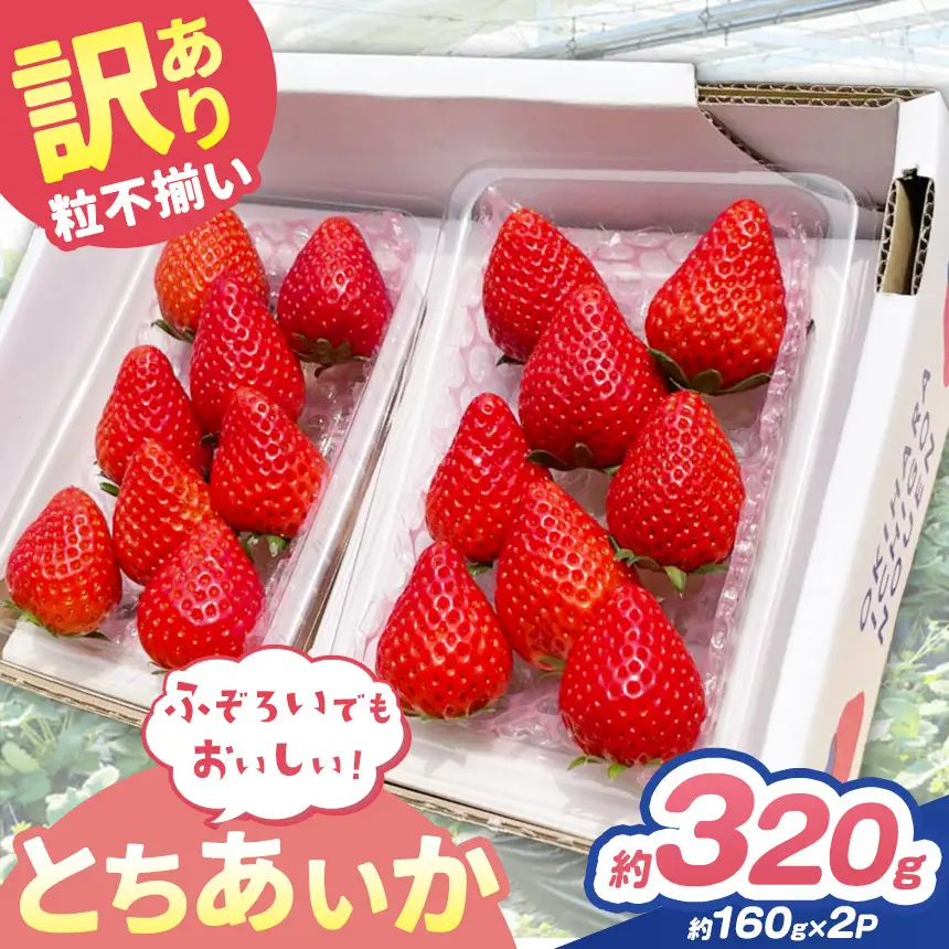 訳あり 粒不揃い とちあいか 320g (160g×2P) 【2027年先行予約】 いちご 苺 | 栃木県 矢板市 澳原いちご農園