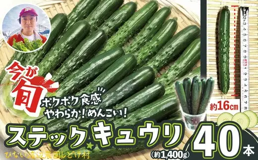 ステックキュウリ ポクポク柔らか！めんこい！約40本　90P3213【ひない渡辺農園しどけ村】