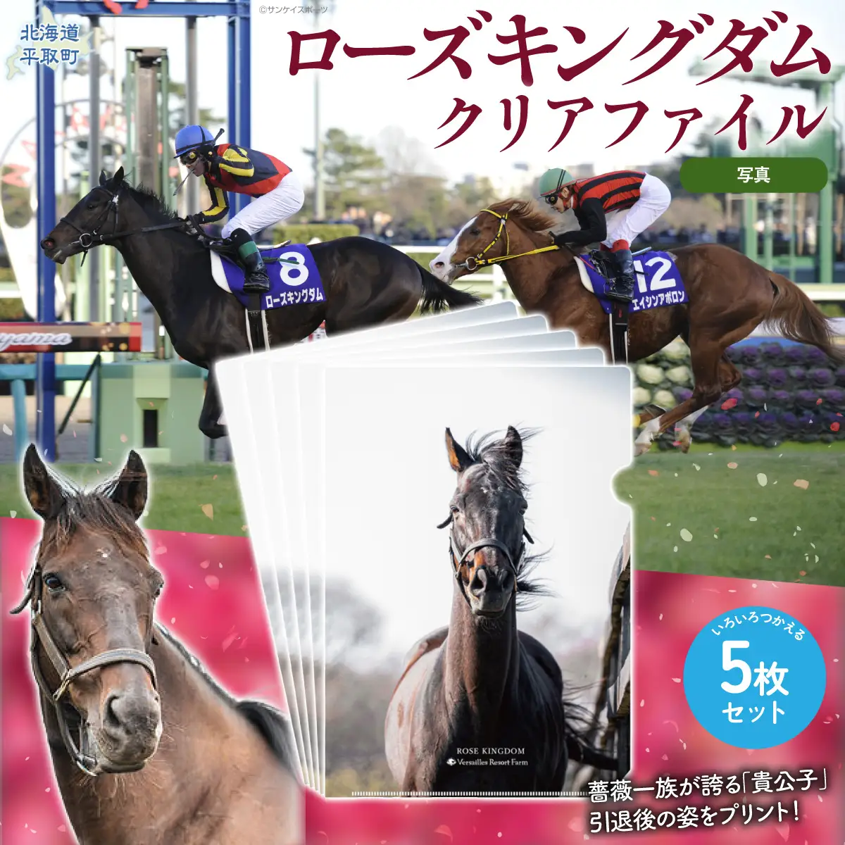 【ローズキングダム】クリアファイル 写真5枚入り BRTV255